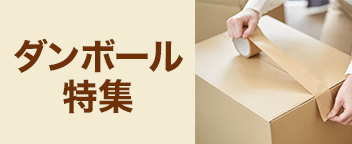 ダンボール特集